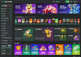 Experience the Thrill of Crypto Casino BC Game MG